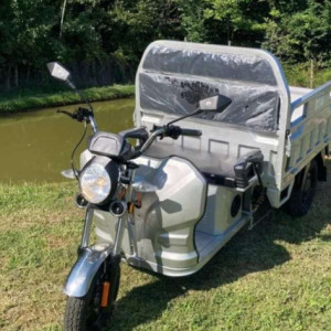 Kategoriebild Elektro- Fahrzeuge